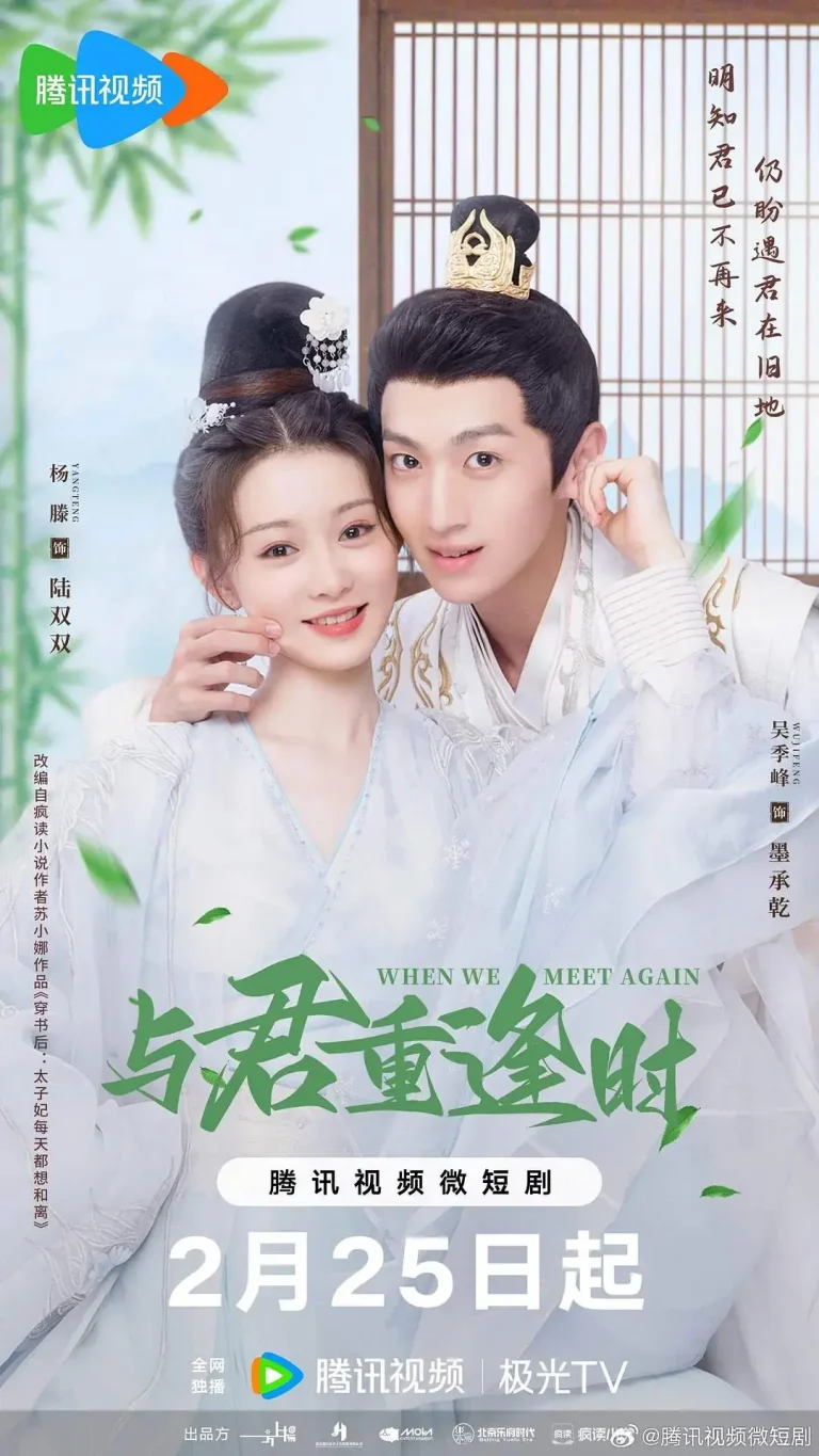 《与君重逢时》全集高清完整版在线观看与剧情解析