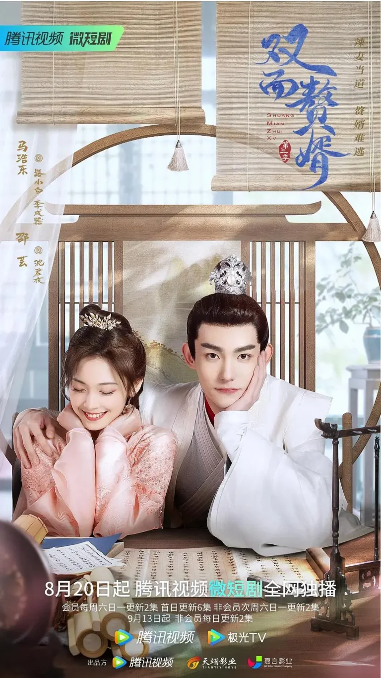 《双面赘婿第2季》全集高清完整版在线观看与剧情解析