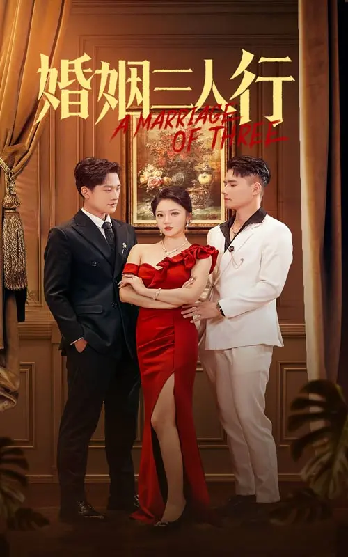 《婚姻三人行》全集高清完整版在线观看与剧情解析