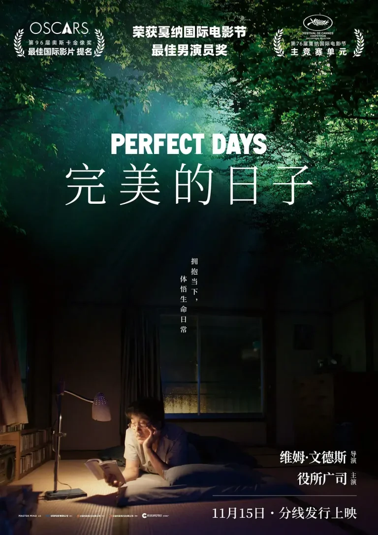 《完美的日子[电影解说]》全集高清完整版在线观看与剧情解析