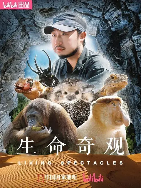 《生命奇观》全集高清完整版在线观看与剧情解析