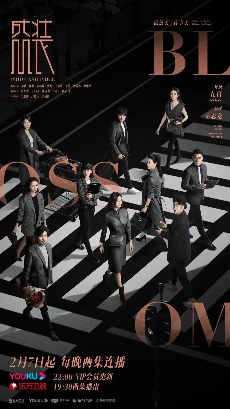 《盛装》全集高清完整版在线观看与剧情解析