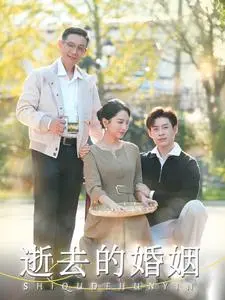 《逝去的婚姻》全集高清完整版在线观看与剧情解析
