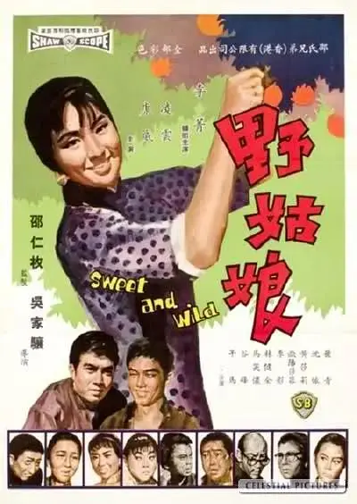 《野姑娘1966》全集高清完整版在线观看与剧情解析